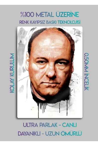 Tony Soprano, The Sopranos - Metal Tablo - Resim 2