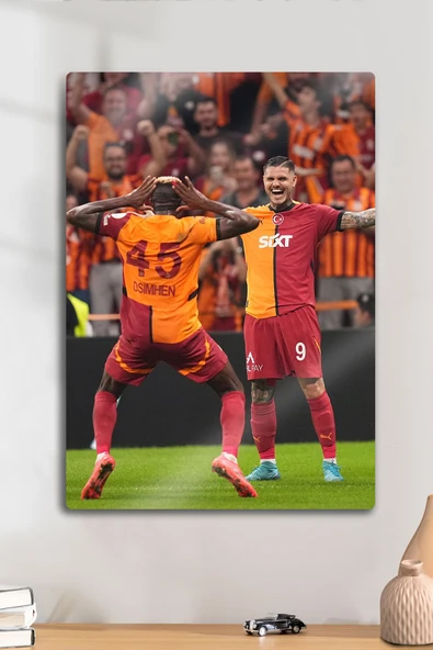 Metal Baskı Parlak Duvar Tablosu -