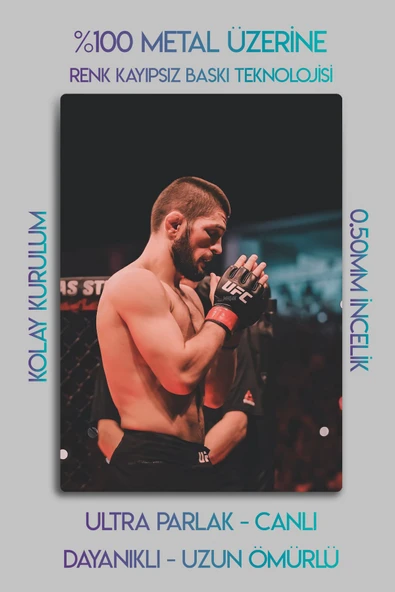 Metal Baskı - Khabib Nurmagomedov, UFC, Parlak Tablo - 2