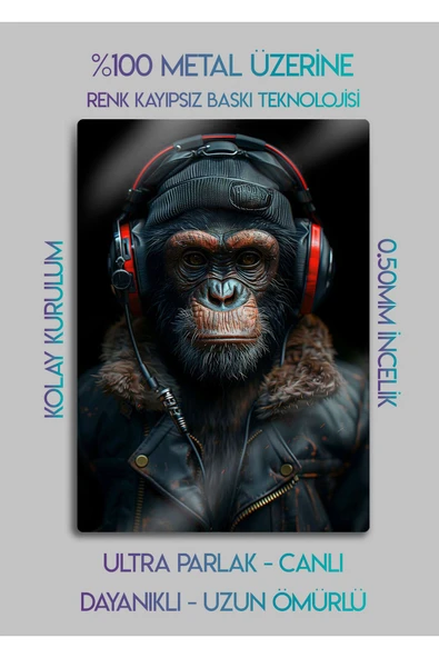 Maymun Stilist Monkey - Dekoratif Metal Tablo - 2