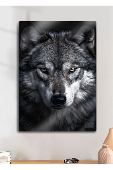 Alfa Kurt - Metal Baskı Duvar Tablosu