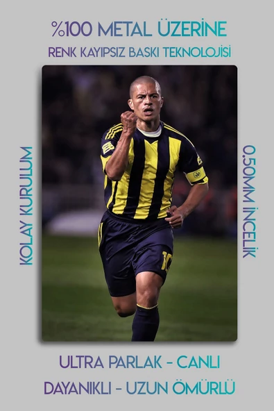 Metal Tablo, Sporcu, Futbol Hediyelik Tablo - Alex de Souza, Fener f.b. - 2