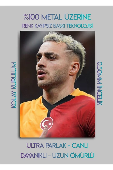 Barış Alper Yılmaz, BAY - Parlak Metal Baskı Tablo - Resim 2