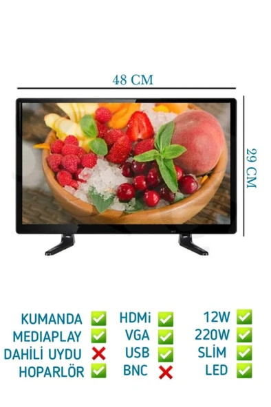 Audiomax 19" 49 Ekran 12V Full HD Karavan - Tekne - Yat Led Monitör TV