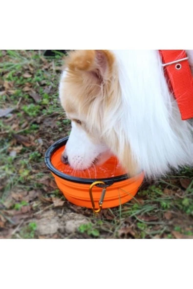 Kedi Köpek Mama Ve Su Kabı Katlanabilir 350 ml - 2