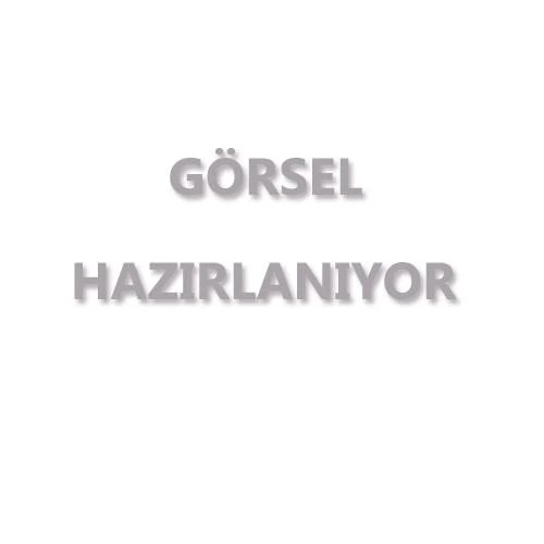Silinmiş 2. Sınıf Ladin - 600*15*5