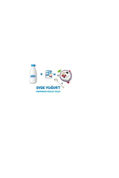 vivo YOĞURT MAYASI - 2