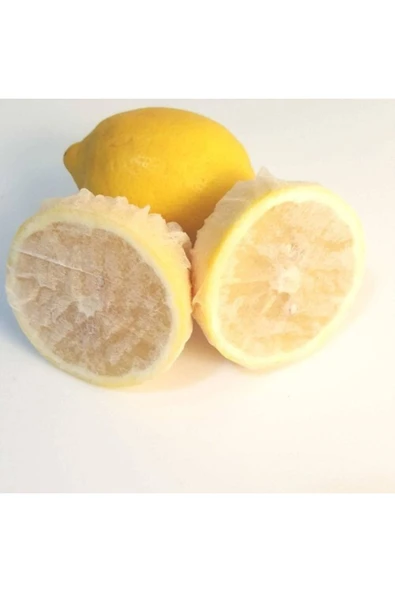 HOUSE2HOME Limon Bonesi Çekirdeksiz Limon Keyfi 500 Adet