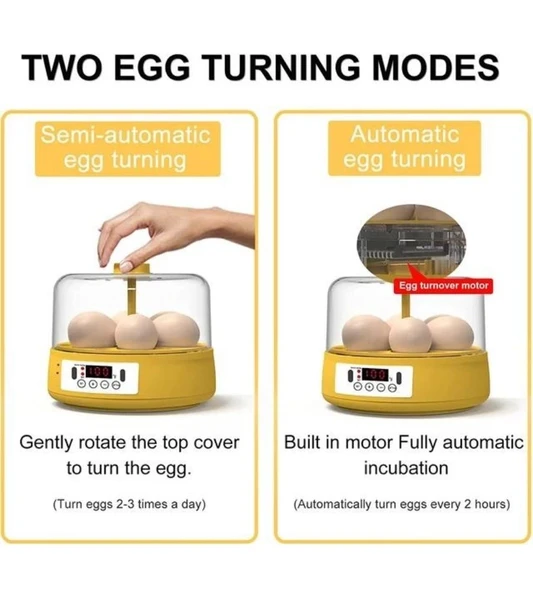 Mini Otomatik Ev Tipi Kuluçka: Elektrikli Tavuk Ve Kuş Kuluçka Makinesi 6 Yumurtalı Mx-6 - 4