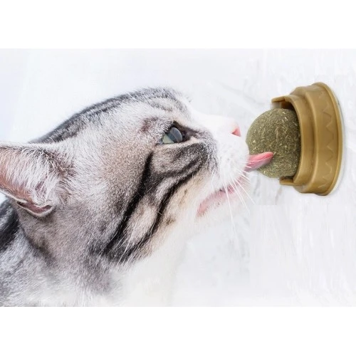 Kedi Nanesi Oyun Topu - 3