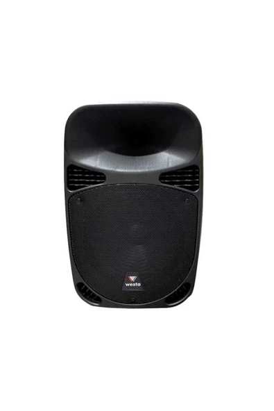 WESTA WSA-15A 15'' 2 YOLLU AKTİF KABİN HOPARLÖR - 2