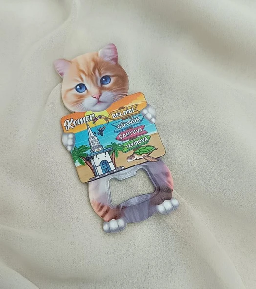 Magnet Açacak Gazoz Şişe Açacağı Mıknatıslı Buzdolabı Süsü  Kaplumbağa Kule
