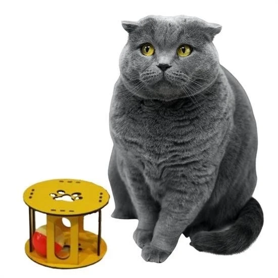 Ahşap Kafes Renkli Toplu Kedi Patisi Desenli Sesli Kedi Oyuncağı - 2