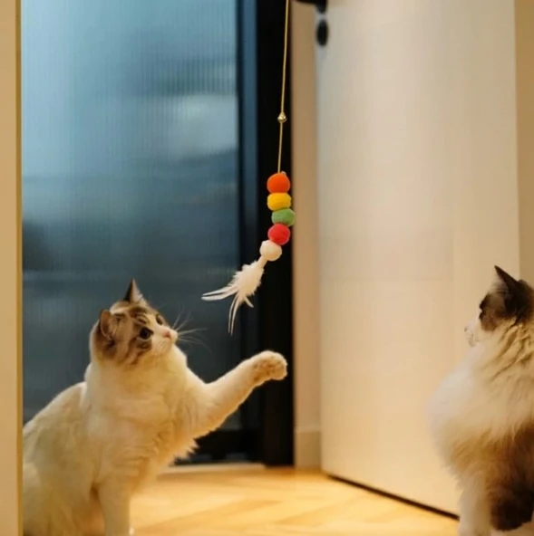 Pratik Elastik Kendinden Yapışkanlı Solucan Kedi Oltası - 5