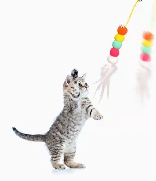 Pratik Elastik Kendinden Yapışkanlı Solucan Kedi Oltası - 4