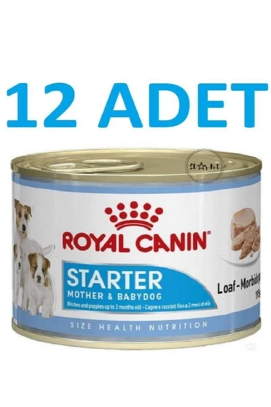 Royal Canin Starter Mousse Anne Ve Yavruları Için Köpek Konservesi 195 gr X 12 ADET