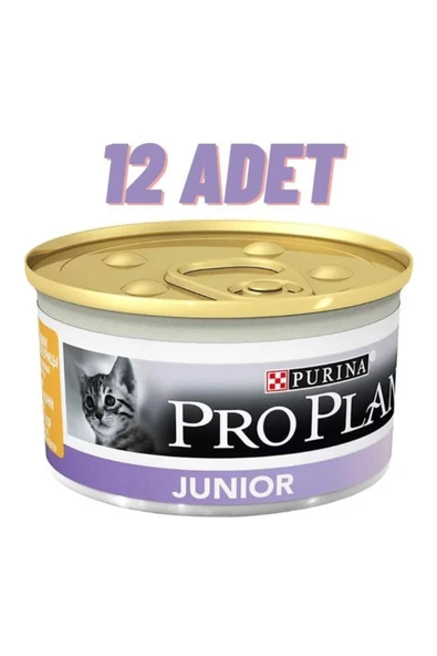 Pro Plan Junior Chicken Yavru Kedi Konservesi 12x85 Gr