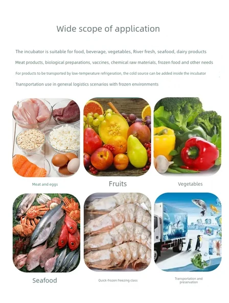 Alüminyum Folyo Yalıtımlı Saklama Kutusu - 1.50kg (290*160*125mm) - 4