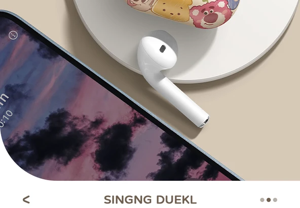 Raymin Kablosuz Bluetooth 5.3 Kulaklık - Sığır Çantası Koruyucu Kılıflı Üst Model - 11
