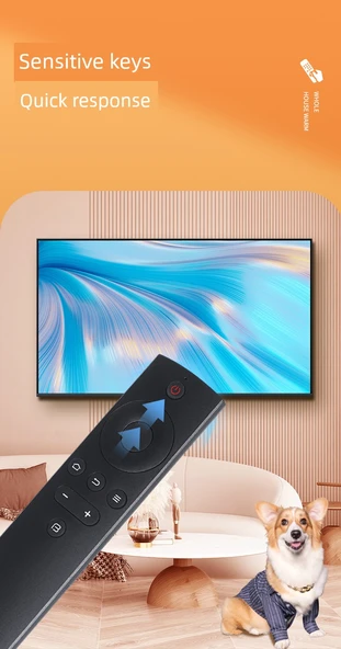 TV Uzaktan Kumandası - T32f06 X32 X45 X49 X55 43F 45F 50F 55F 32r7 32x3 43x3 50x3 B40c61 40x 43X 45xs - Standart - 10