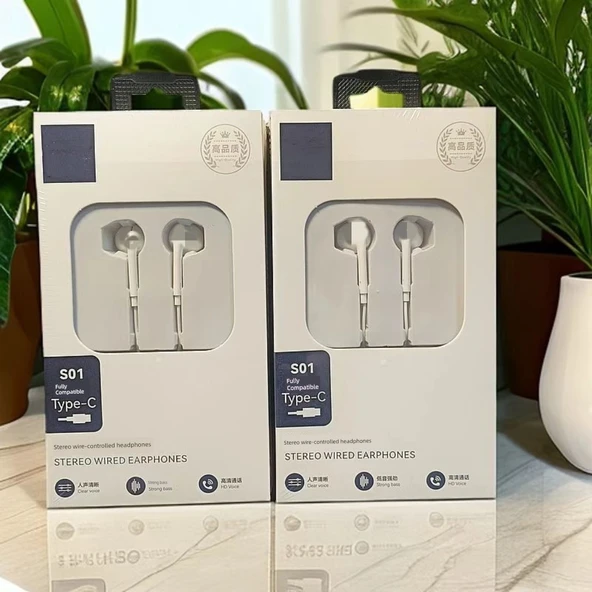 Type-C Stereo Dijital Kulak İçi Kulaklık Mikrofonlu - S01 Sert Başlık - Resim 3