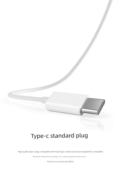 3.5mm Type-C Kablolu Kulak İçi Kulaklık - Rio Tinto A30 Dijital Kutulu - Resim 10