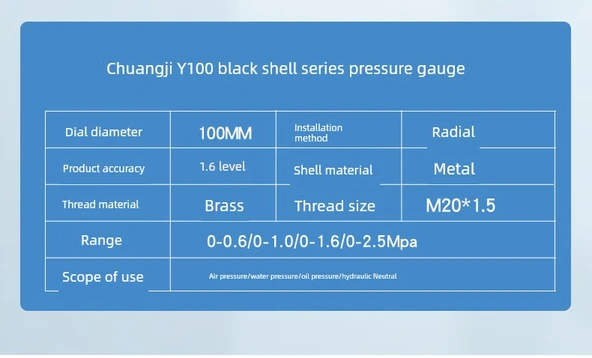Y100 Radyal Basınç Ölçer - Mavi Kasa 0-60mpa - 10