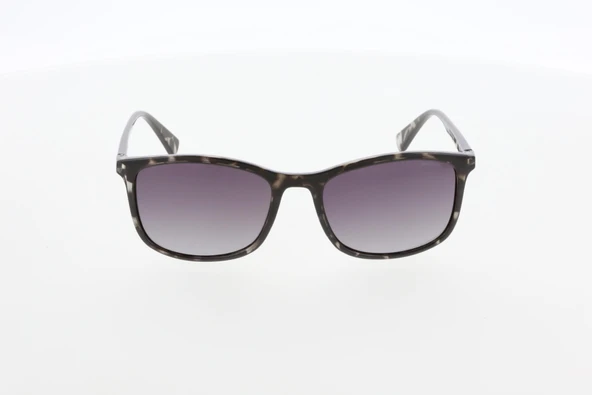 Mustang MU2504 04 Erkek Güneş Gözlüğü ürün görseli