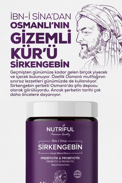 Nutriful Ibn-i Sina Sirkengebin Prebiyotik Macunu - 3