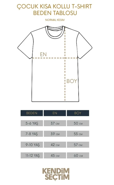 Siyah Renk Çocuk Tişört Aslan Ruhu Sarı Kırmızı 5 Yıldız Şampiyon Ön ve Sırt Baskılı Tasarım T-shirt - 4