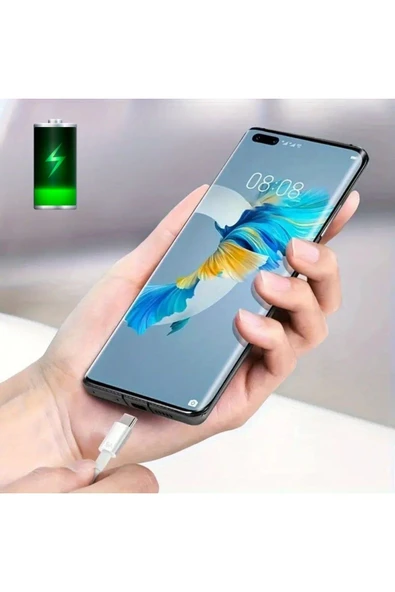 120W USB Hızlı Type C Uçlu Kablolu Şarj Aleti - 4