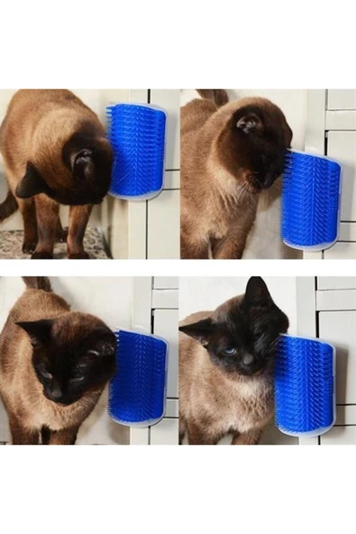 Pratik Kedi Tüyü Kaşıma Ve Tarama Aparatı Duvara Monte Kaşıma Aleti