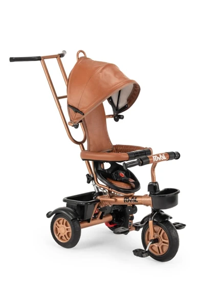 Rival  501gold-taba
