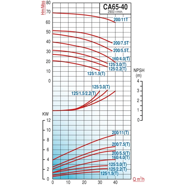 Varan CA 65-40-160/4.0T Paslanmaz Santrifüj Pompa 5.5 HP / 4 kW, Trifaze 380 V, 39 Mss (AISI 316) - Resim 2