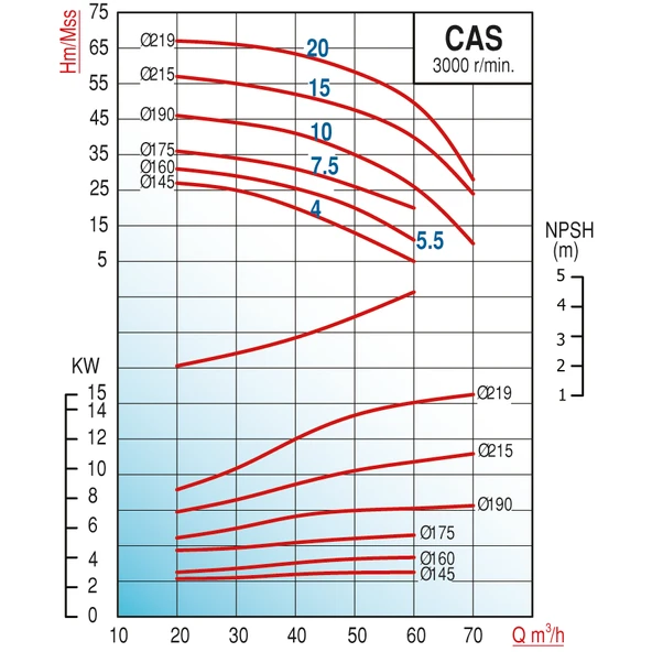 Varan CAS 4 Monoblok Uçtan Emişli Santrifüj Pompa 4 HP / 3 kW, Trifaze 380 V, 27 Mss, 60 m3/h - 2