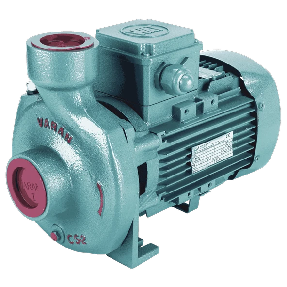 Varan CS 22 Tek Kademe Monoblok Santrifüj Pompa 2 HP / 1.5 kW, Trifaze 380 V, 24 Mss, 30 m3/h