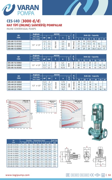 Varan CES-I 40-13-02202 İn-line Döküm Santrifüj Pompa 3 HP / 2.2 kW, Trifaze 380 V, 27 Mss, 25 m3/h - 4