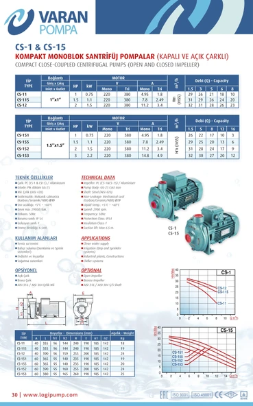 Varan CS 11 Tek Kademe Monoblok Santrifüj Pompa 1 HP/ 0.75 kW, Trifaze 380 V, 29 Mss, 8 m3/h - 3