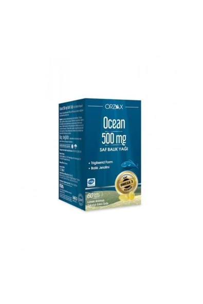 500 mg 60 Kapsül Saf Balık Yağı