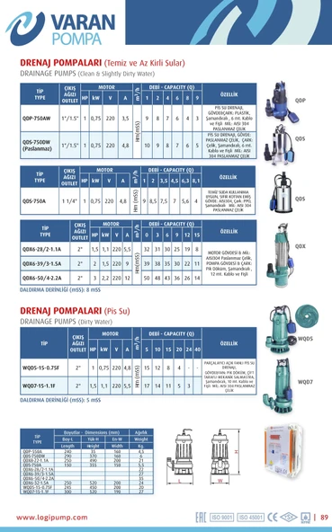 Varan QDX 6-50/4-2.2A Temiz Su Yüksek İrtifa Dalgıç Pompa 3 HP / 2.2 kW, Monofaze 220 V, 50 Mss, 15 m3/h - Resim 2