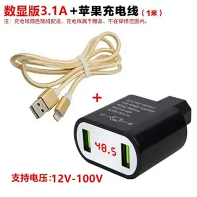 Elektrikli Araç USB Telefon Şarj Cihazı - 3.1A Siyah 12-100V + Apple Kablosu