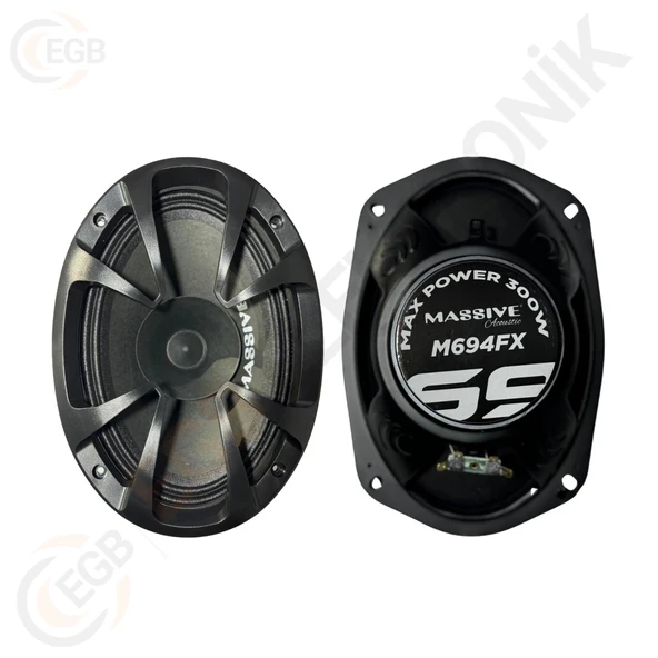 MASSİVE MS-M694FX 300W 6X9 OVAL MİDRANGE - 2