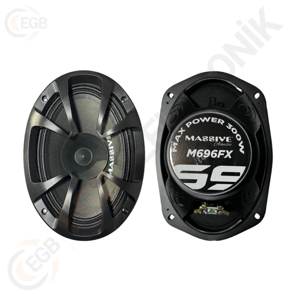MASSİVE MS-M696FX 300W MİDRANGE OVAL ÇİFT - 4