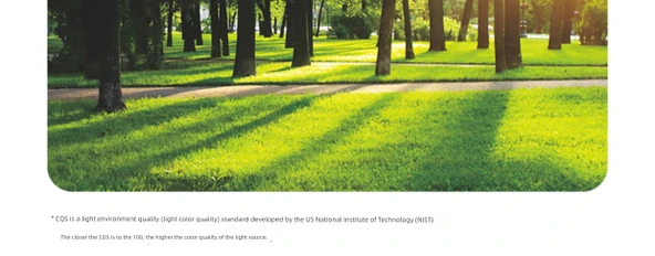 Mantar Masa Lambası - Bej Küçük Mantar - 16cm - Üç Renk Kısılabilir - Resim 11