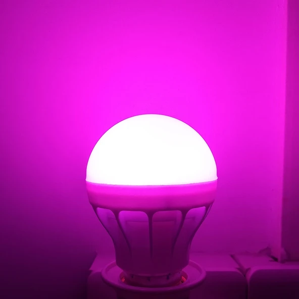 LED Atmosfer Selfie Gece Lambası - 9W Pudra - Lamba Tutuculu