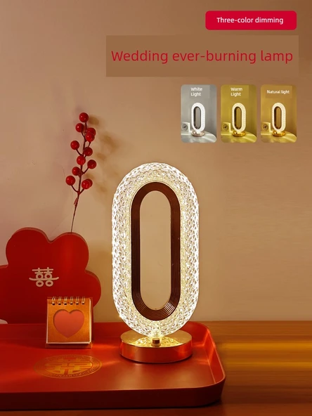Oval Halka LED Gece Lambası - Dokunmatik, Üç Renkli, Şarjlı, Fişli