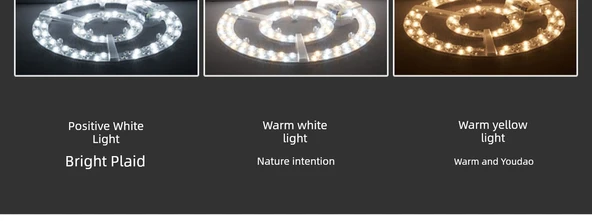 LED Tavan Lambası Modülü - 12W 12cm Parlak Beyaz Işık - 11