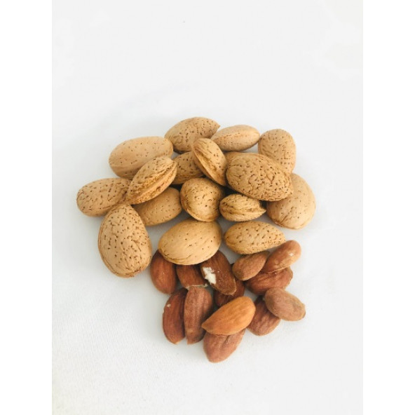 Organic Almond in shell 0,5 kg - 4