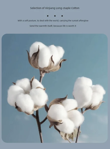 Otel Tipi Beyaz Pamuklu Banyo Havlusu 600g İş Oteli 75x150cm - Resim 10