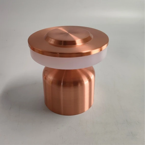 İskandinav Minimalist Metal Düzlem Masa Lambası - USB Şarjlı - Dokunmatik - Rose Gold